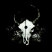 demonhunter-sod.jpg - 1446 Bytes
